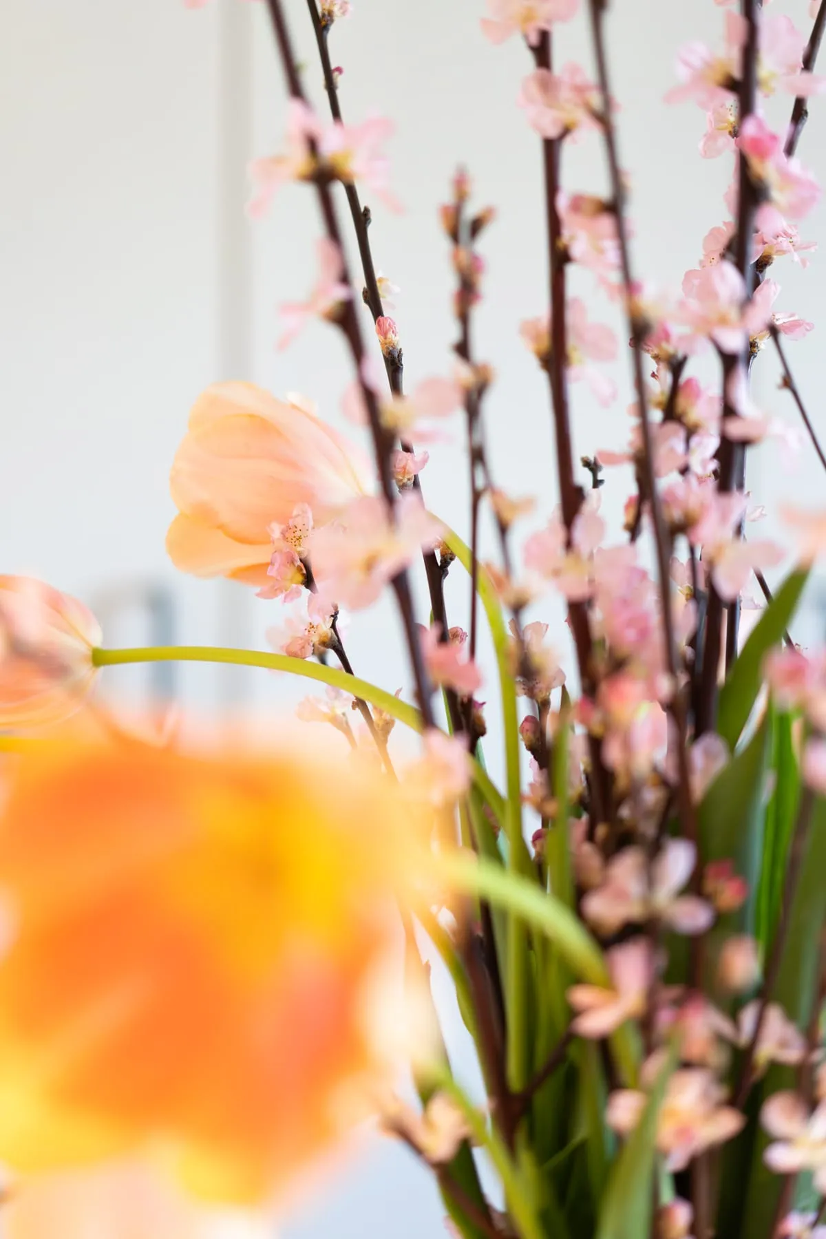 Spring flowers in the entrance area
